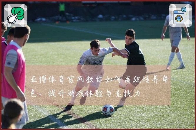 亚博体育官网教你如何高效培养角色,提升游戏体验与竞技力